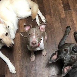 Meet your Posher, Jason